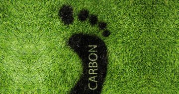 carbon footprint in grass