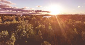 How to calculate your carbon footprint