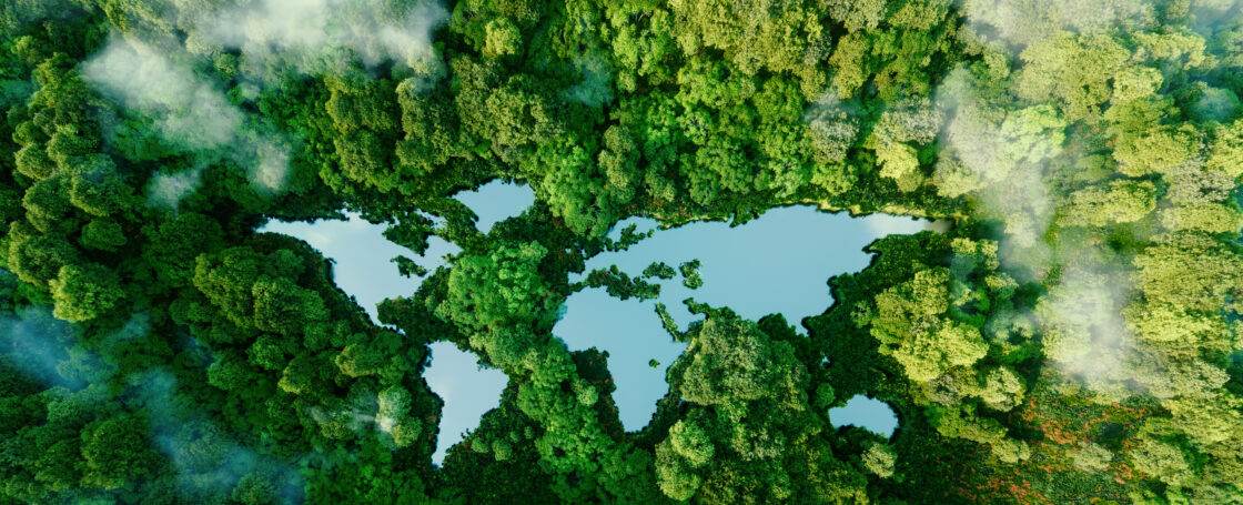 verified carbon standard