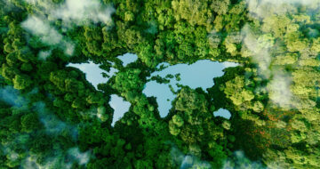 verified carbon standard