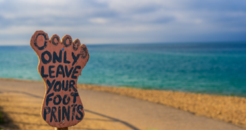 How to reduce carbon footprint