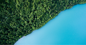 what are cabon offsets