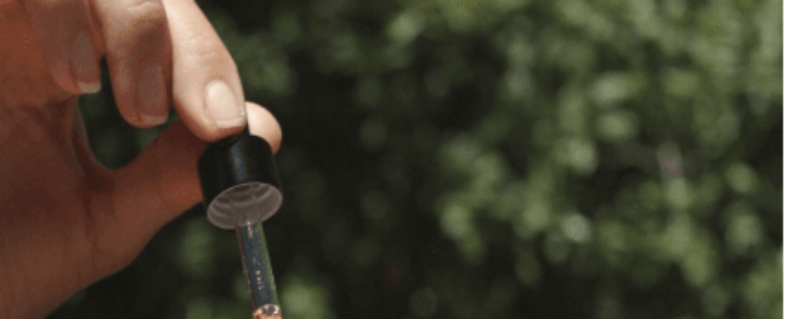 le_prunier-example-hero