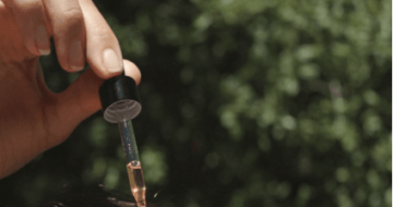 le_prunier-example-hero