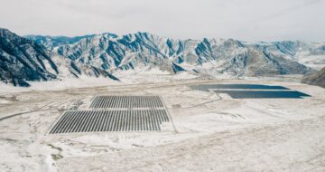 best carbon offset companies