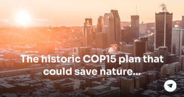 what is cop15