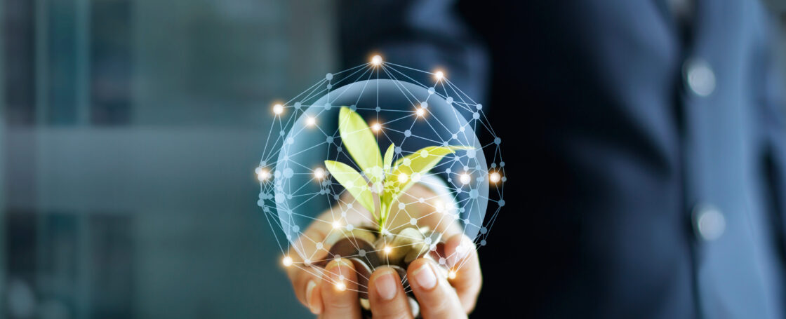 sustainable business