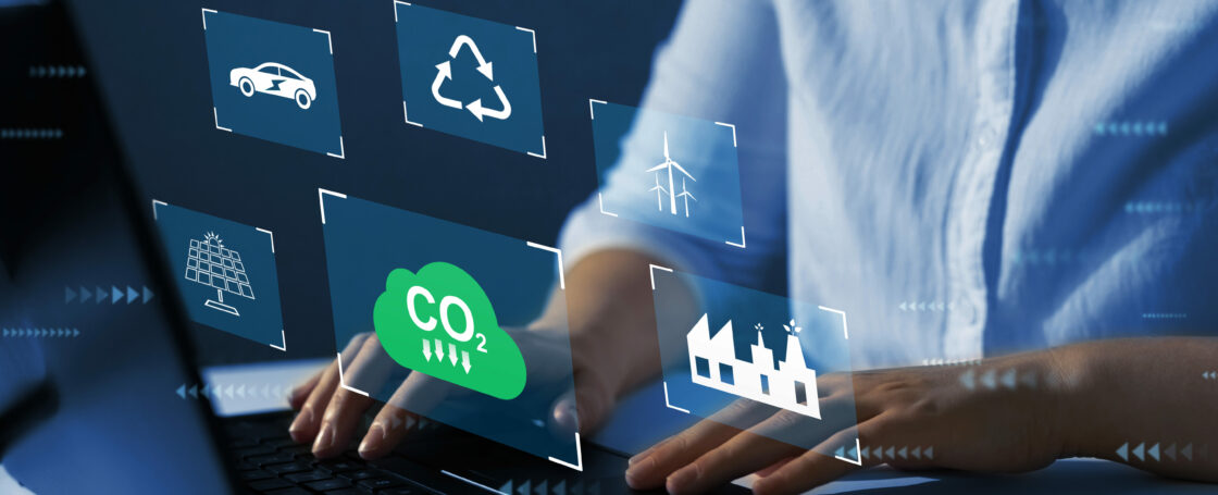 carbon offsets market