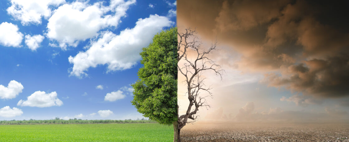 combating climate change