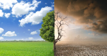 combating climate change