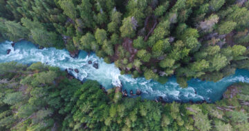 types of carbon credits