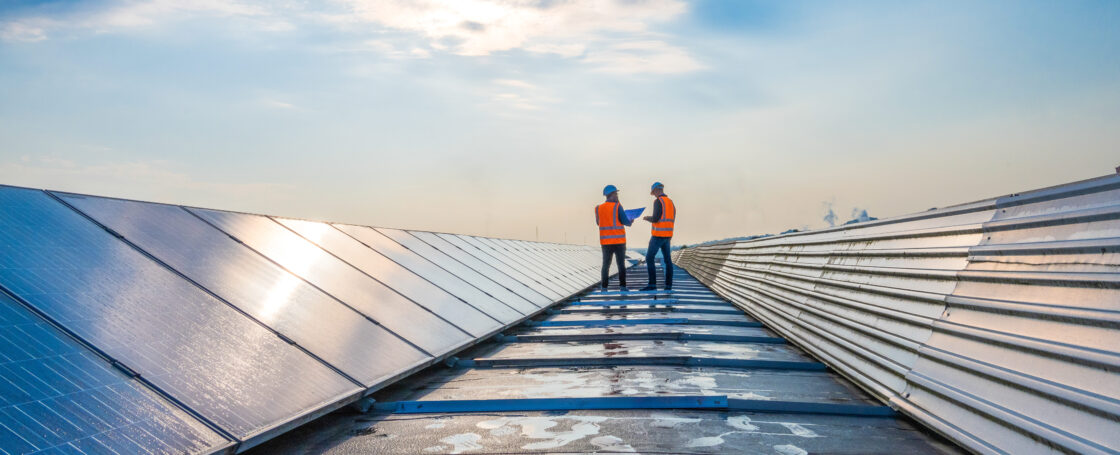 how carbon credits are verified