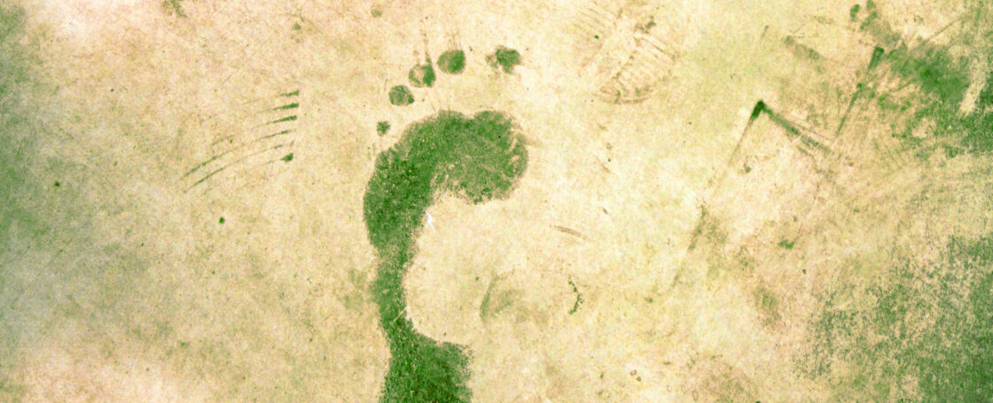 ways to reduce carbon footprint