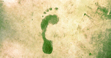 ways to reduce carbon footprint