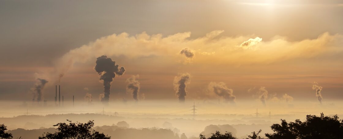 how to get paid for carbon credits