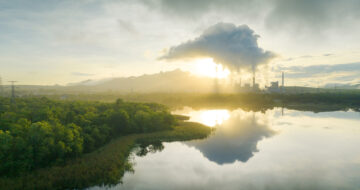 carbon credit validation and verification