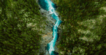 conservation vs sustainability