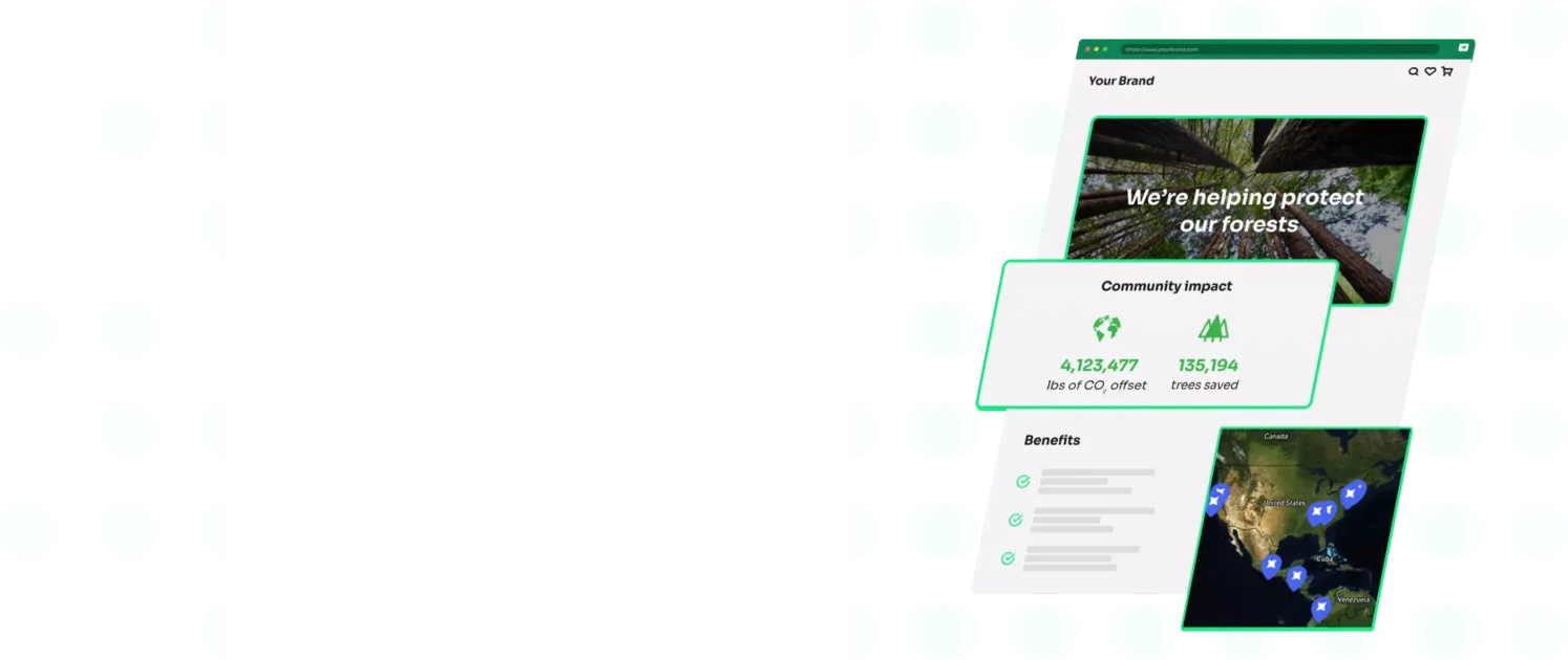 A stylized version of a webpage.